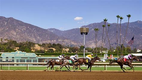 santa rosa horse track.